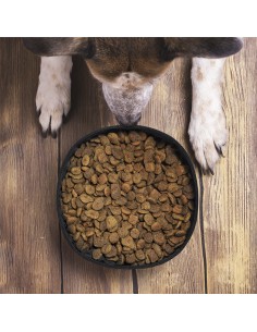 01615 Ciotola pieghevole... 2