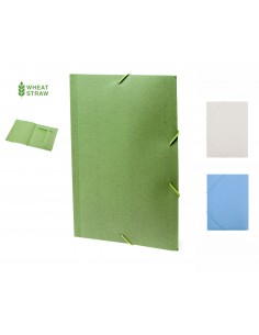 Cartellina portadocumenti...