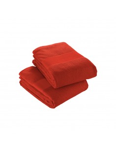 05005 Telo in spugna di...