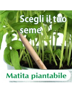 Sprout matita piantabile 00130 2